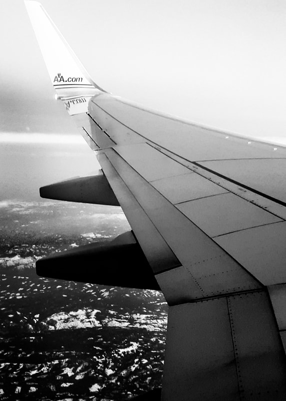 Grayscale Airplane Wing
