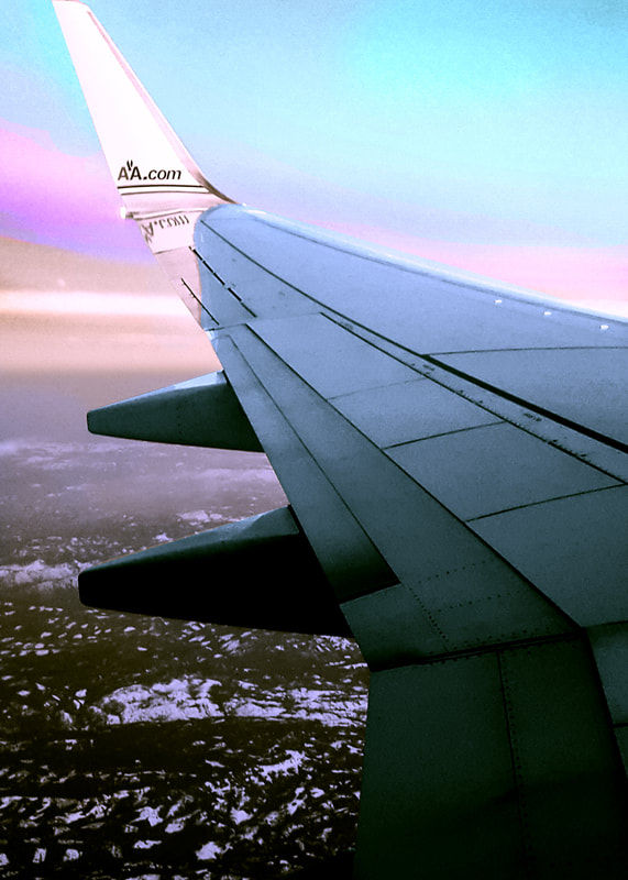 Recolored Airplane Wing
